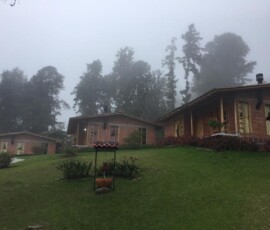 caldas turismo