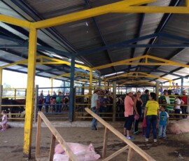 ferias de pensilvania