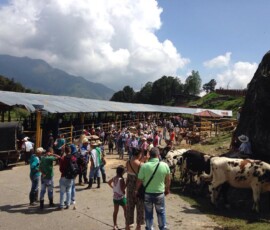 ferias en pensilvania